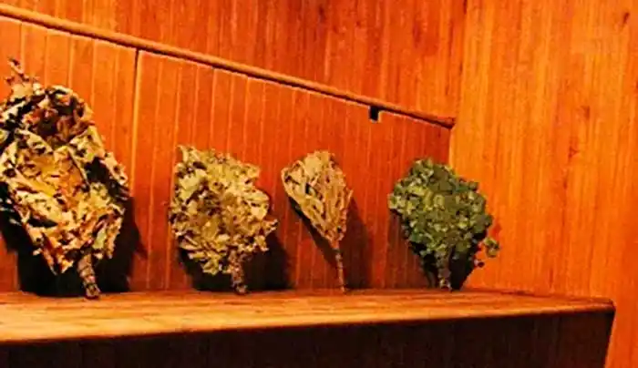 Сауна Дадим пару — сауны и бани Харькова